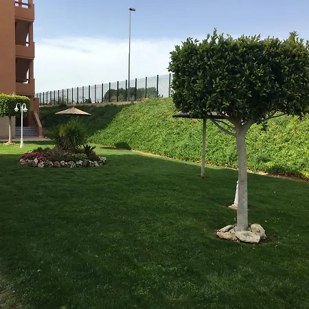 Las Violetas Villamartin (Valencia)